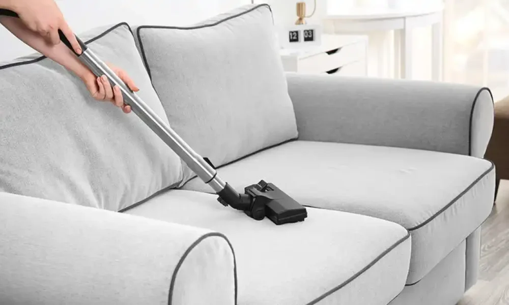 Importance of Upholstery Cleanings